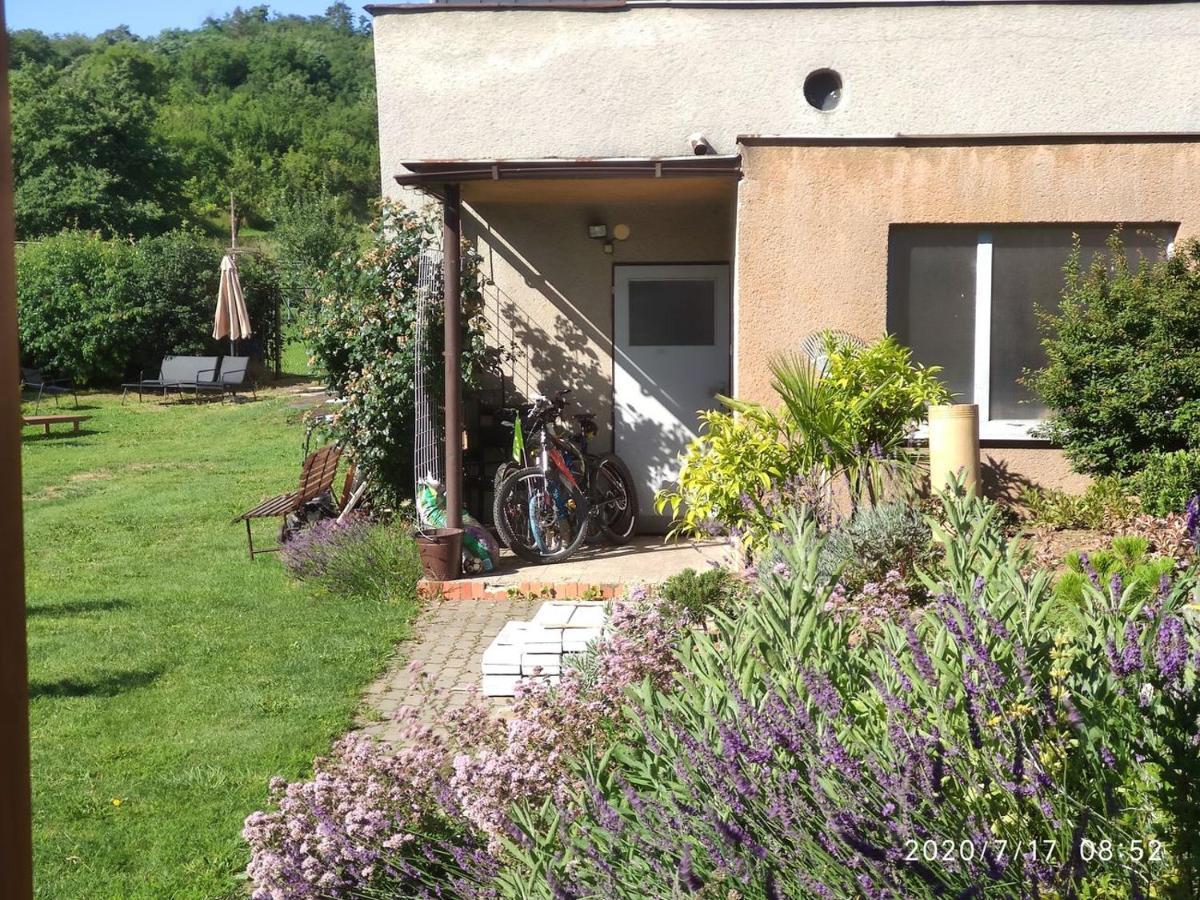 Apartmán Lenka II Borsice Esterno foto